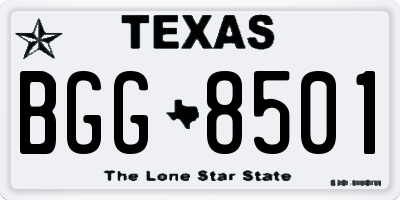 TX license plate BGG8501