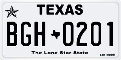 TX license plate BGH0201