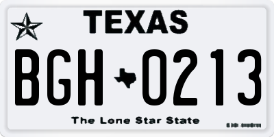 TX license plate BGH0213