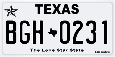 TX license plate BGH0231