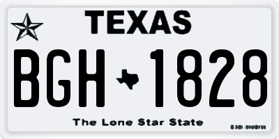 TX license plate BGH1828
