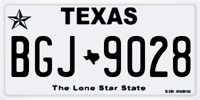 TX license plate BGJ9028