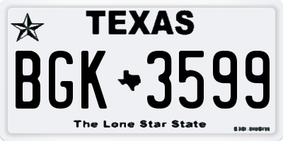 TX license plate BGK3599