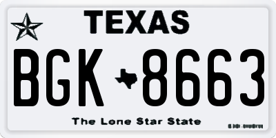 TX license plate BGK8663