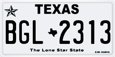 TX license plate BGL2313