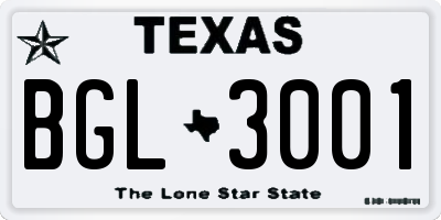 TX license plate BGL3001