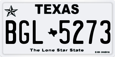 TX license plate BGL5273