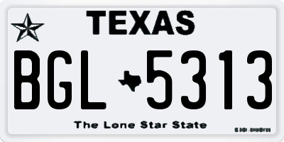 TX license plate BGL5313