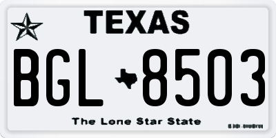 TX license plate BGL8503