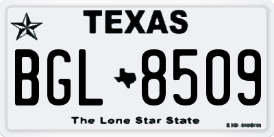 TX license plate BGL8509