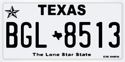 TX license plate BGL8513