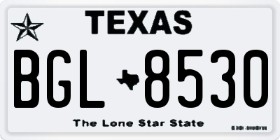 TX license plate BGL8530