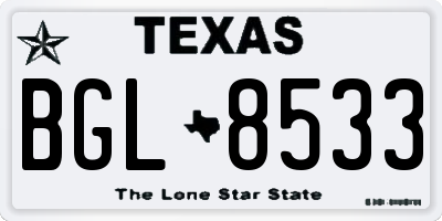 TX license plate BGL8533