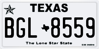 TX license plate BGL8559