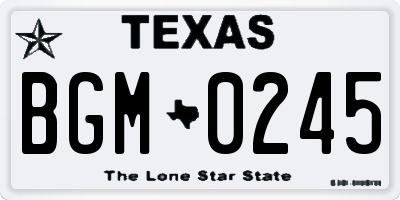 TX license plate BGM0245