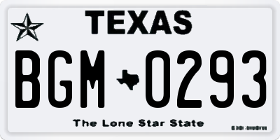 TX license plate BGM0293