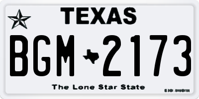 TX license plate BGM2173