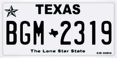 TX license plate BGM2319