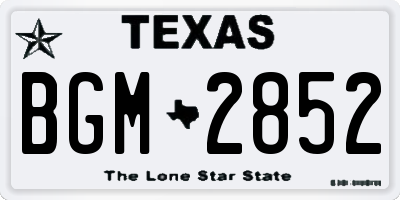 TX license plate BGM2852