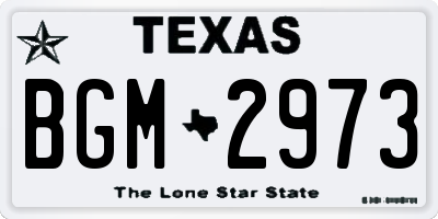 TX license plate BGM2973