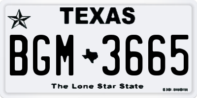TX license plate BGM3665