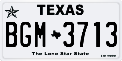 TX license plate BGM3713
