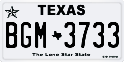 TX license plate BGM3733