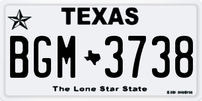 TX license plate BGM3738