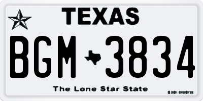TX license plate BGM3834