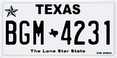 TX license plate BGM4231