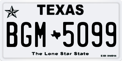 TX license plate BGM5099