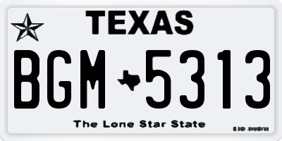 TX license plate BGM5313