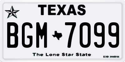 TX license plate BGM7099