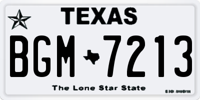 TX license plate BGM7213