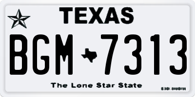 TX license plate BGM7313