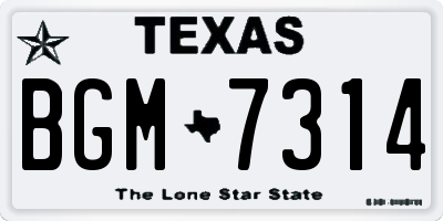 TX license plate BGM7314