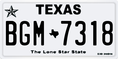 TX license plate BGM7318