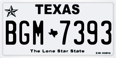 TX license plate BGM7393