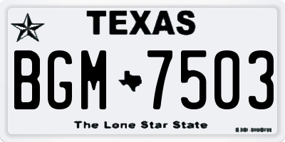 TX license plate BGM7503