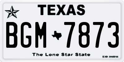 TX license plate BGM7873