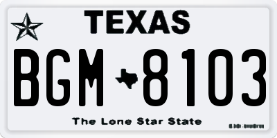 TX license plate BGM8103