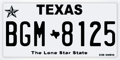 TX license plate BGM8125