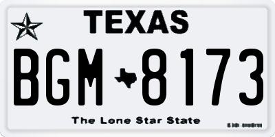 TX license plate BGM8173