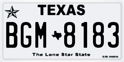 TX license plate BGM8183