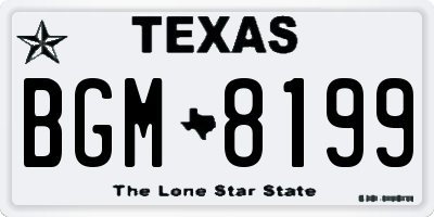 TX license plate BGM8199