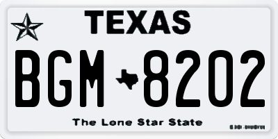 TX license plate BGM8202