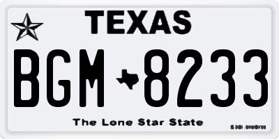 TX license plate BGM8233
