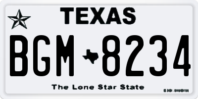TX license plate BGM8234