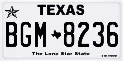 TX license plate BGM8236