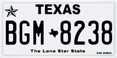 TX license plate BGM8238
